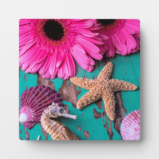 Pink Daises And Seahorse With Starfish Fotoplatte (Vorderseite)