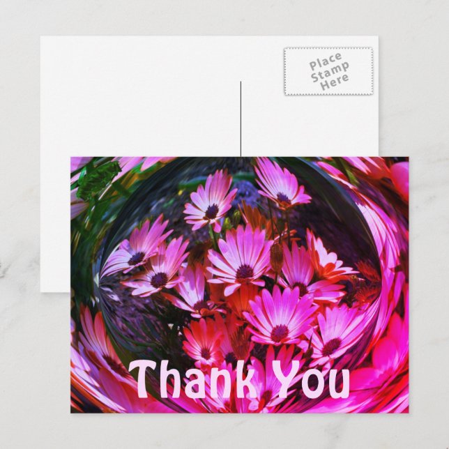 Pink Daisies Abstrakt Floral Vielen Dank Postcard Postkarte (Vorne/Hinten)