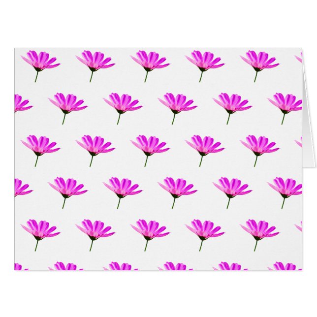 Pink Daisy (Vorderseite (Horizontal))