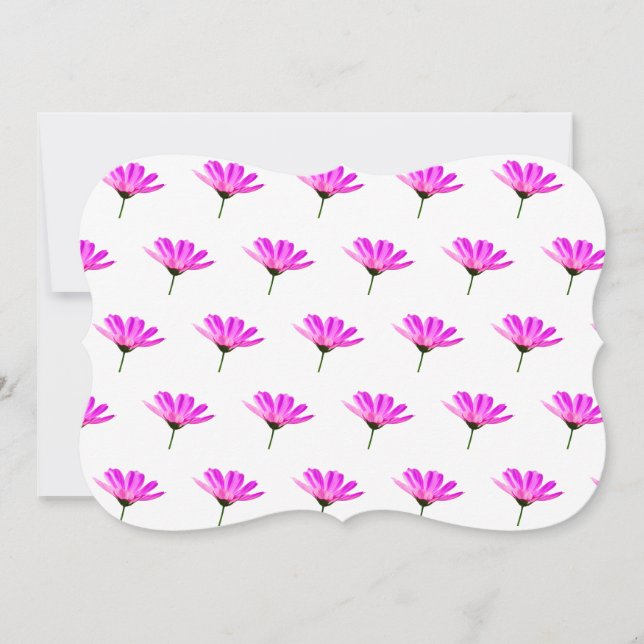 Pink Daisy (Vorderseite)
