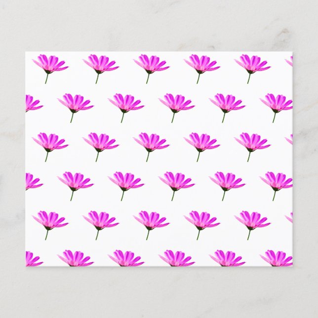 Pink Daisy (Vorderseite)