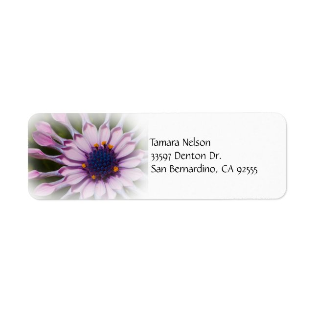Pink Daisy Address Label (Vorne)