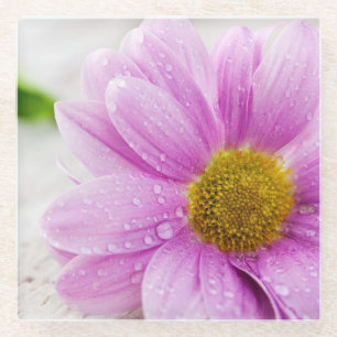 Pink Daisy Blume Glass Untersetzer