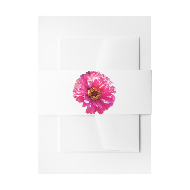 Pink Daisy Einladungsbanderole (Vorderseite Beispiel)