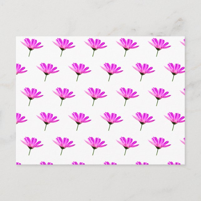 Pink Daisy Feiertagspostkarte (Vorderseite)