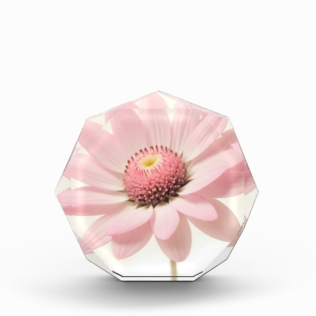 Pink Daisy Floral Design Fotoblock (Vorderseite)