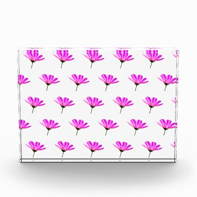 Pink Daisy Fotoblock (Vorderseite)