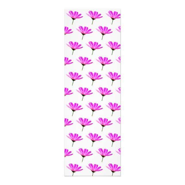 Pink Daisy Fotodruck (Vorne)