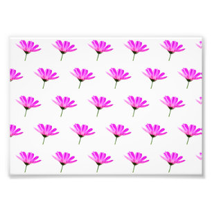 Pink Daisy Fotodruck