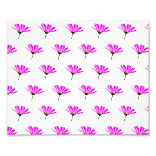 Pink Daisy Fotodruck