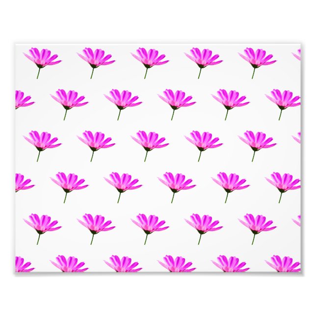 Pink Daisy Fotodruck (Vorne)