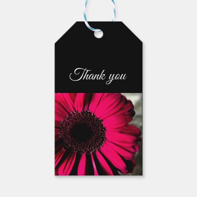 Pink Daisy Gift Tag Geschenkanhänger (Vorderseite)