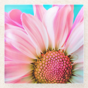 Pink Daisy Glasuntersetzer
