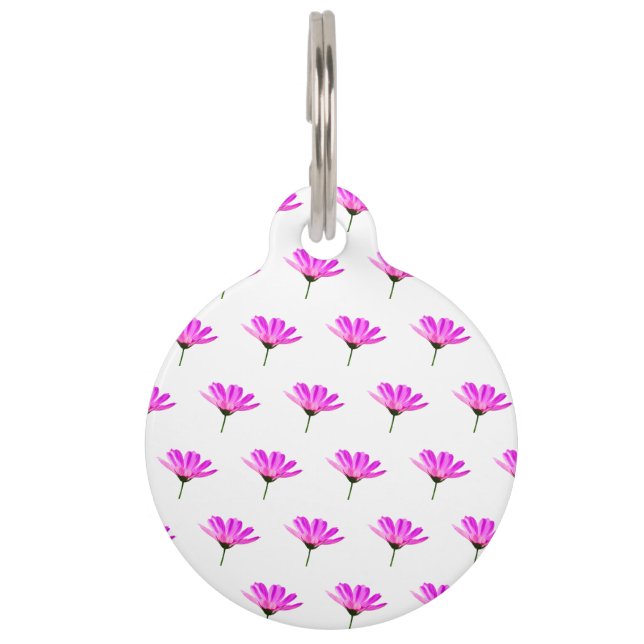 Pink Daisy Haustiermarke (Vorderseite)