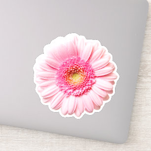Pink Daisy Hübsch Sticker