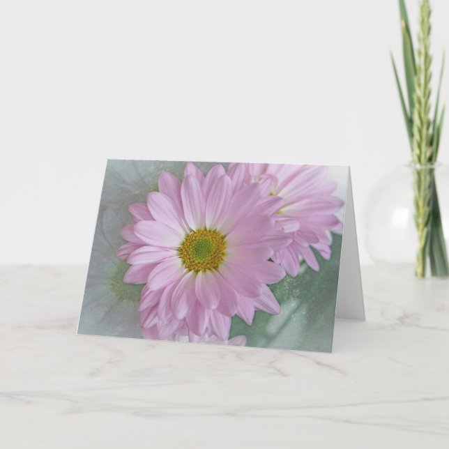 Pink Daisy Karte (Vorderseite)