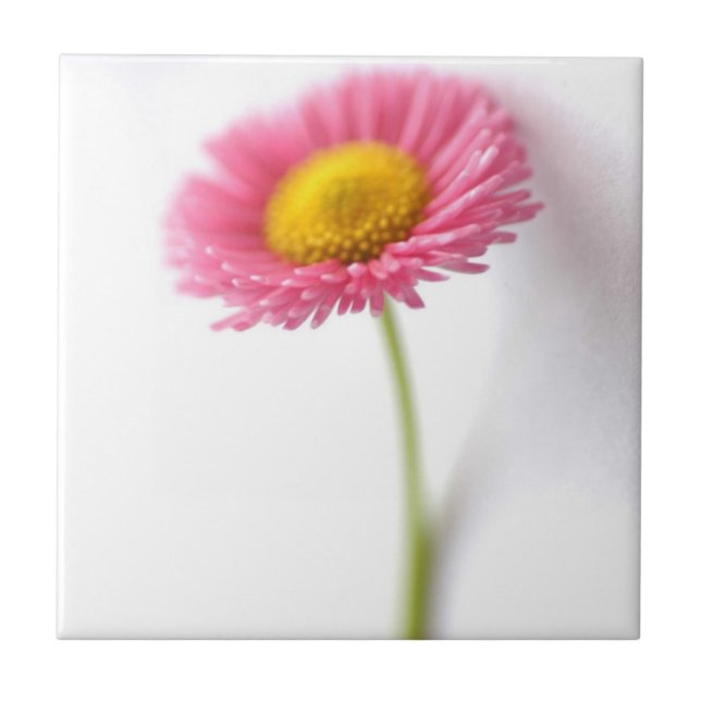 Pink Daisy Keramik Tile Fliese (Vorderseite)
