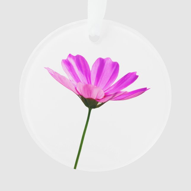 Pink Daisy Ornament (Vorderseite)