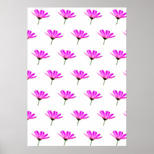Pink Daisy Poster