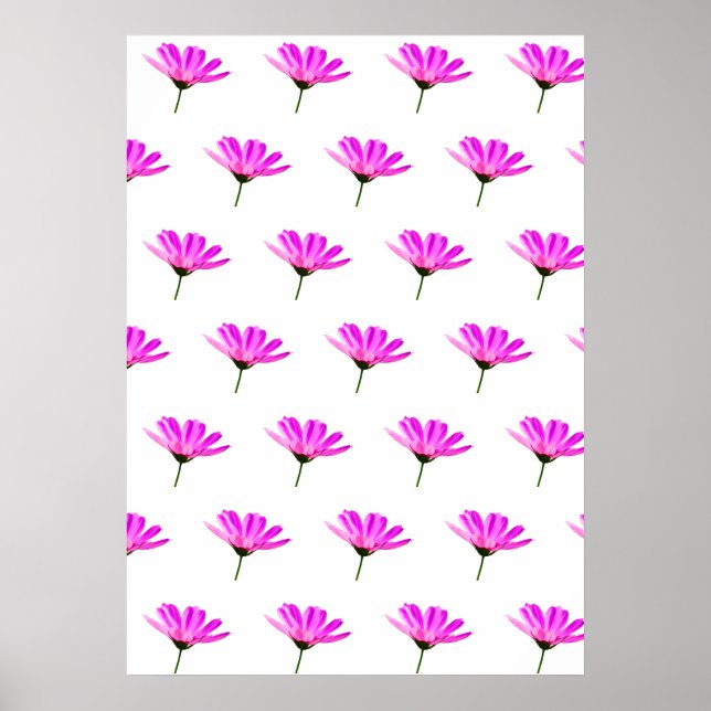 Pink Daisy Poster (Vorne)