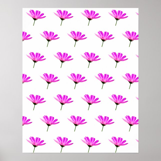 Pink Daisy Poster (Vorne)