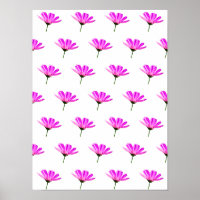 Pink Daisy
