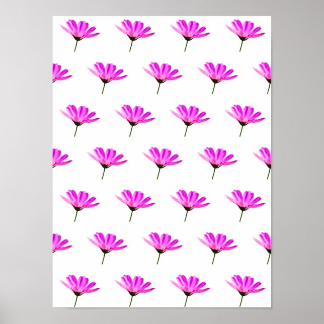 Pink Daisy Poster (Vorne)