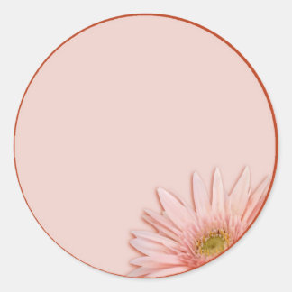 Pink Daisy Runder Aufkleber