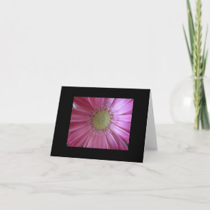 Pink Daisy Schönheit Karte