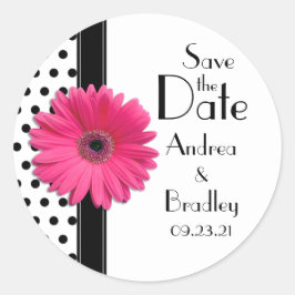 Pink Daisy Schwarz-weiß Polka Dot Wedding Sticker