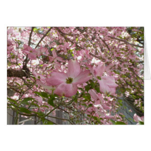 Pink Dogwood Card