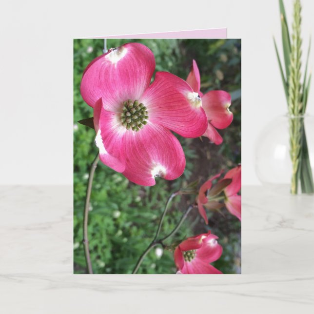 Pink Dogwood Grußkarte Karte (Vorderseite)