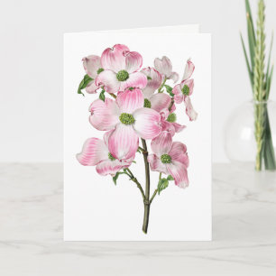 Pink Dogwood Vintage Blank Carte de voeux