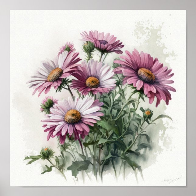 Pink English Daisy Flower Art Imprimer Poster (Devant)