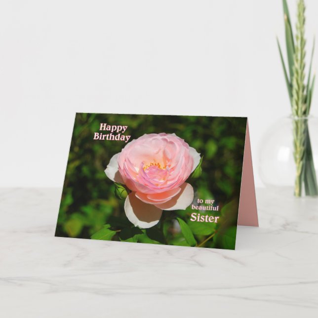 Pink English Rose Sister Happy Birthday Karte (Vorderseite)