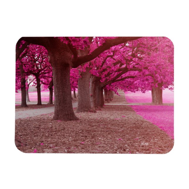 Pink Fantasy Park Magnet (Horizontal)