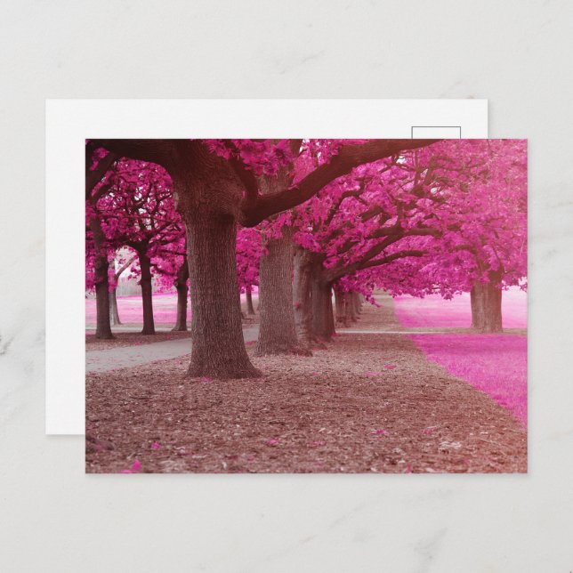 Pink Fantasy Park Postkarte (Vorne/Hinten)