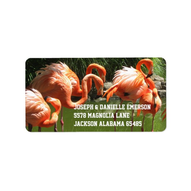 Pink Flamingo Address Labels Adressaufkleber (Vorne)