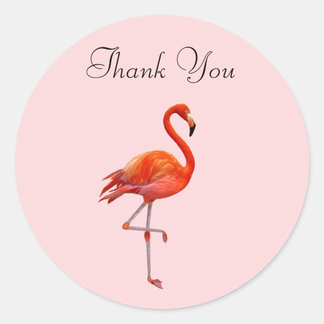 Pink Flamingo auf Pink Danke Runder Aufkleber (Vorderseite)