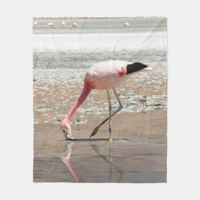PINK FLAMINGO AUF WASSERKÖRPER FLEECEDECKE (Vorderseite)
