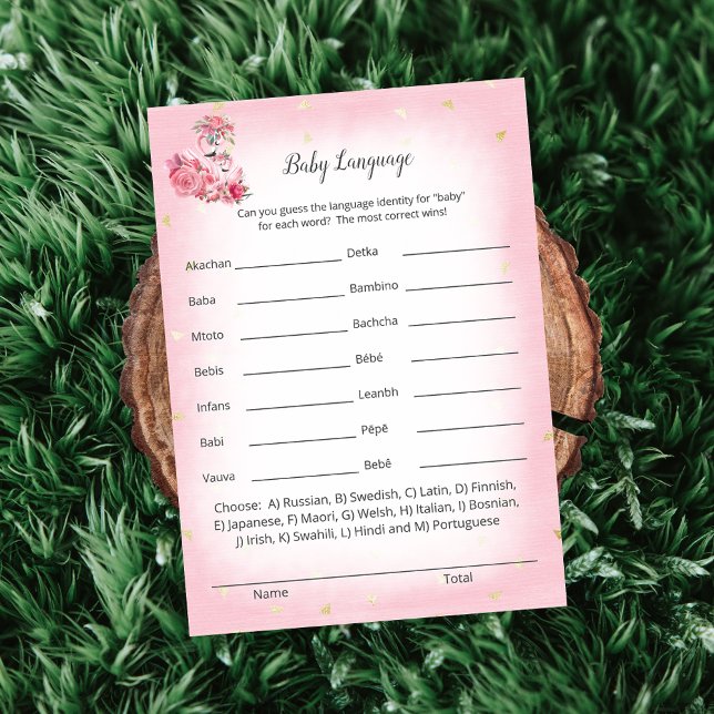 Pink Flamingo Ballerina Baby Language Showspiel Einladung (Von Creator hochgeladen)