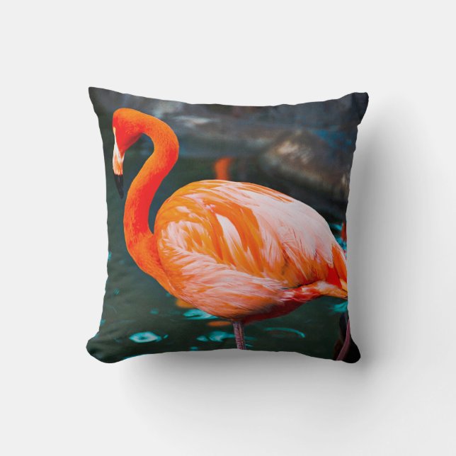 Pink Flamingo Bird Foto Beautiful Bold Modern Kissen (Vorderseite)