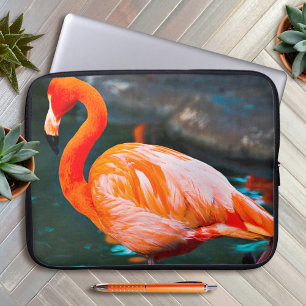Pink Flamingo Bird Fotografie Schöne Moderne Laptopschutzhülle