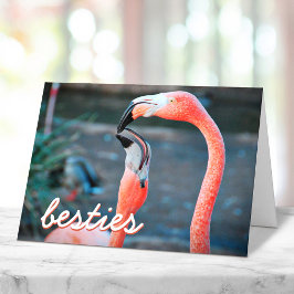 Pink Flamingo Birds Foto Besties Script Stilvoll Karte
