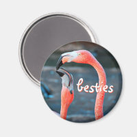 Pink Flamingo Birds Foto Besties Script Stilvoll