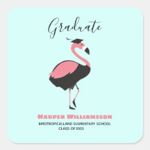 Pink Flamingo Blue Abschluss