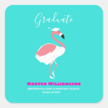 Pink Flamingo Bright Blue Abschluss