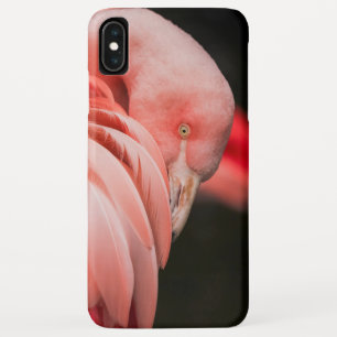 Pink Flamingo Case-Mate iPhone Hülle