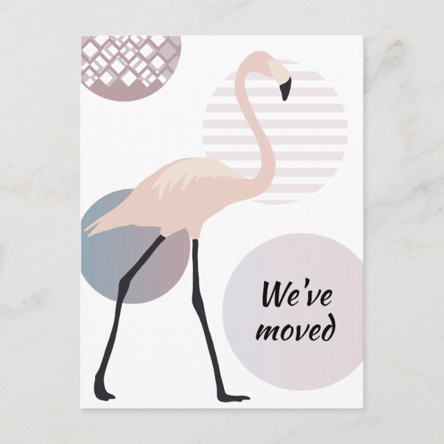 Pink Flamingo Chic Artistic Circles Neue Adresse Ankündigungspostkarte (Vorderseite)