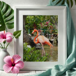 Pink Flamingo Dekoration Fotografie Bonita Springs<br><div class="desc">Mit dieser hübschen, rosa Flamingo-Dekoration verleihen Sie Ihrem Raum eine Touch tropischen Charmes. Dieses bedruckbare Poster zeigt atemberaubende Kunstfotos eines anmutigen rosa Flamingos, das in den historischen Wundergärten von Bonita Springs, Florida von der Künstlerin Victoria Grigaliunas aufgenommen wurde. Dieses elegante Stück, das sowohl als digitales Download als auch als Druckoption...</div>